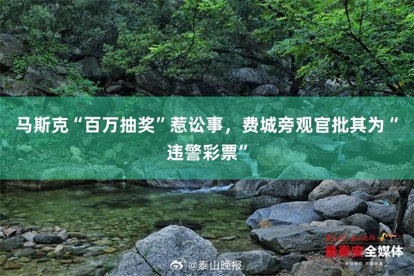 马斯克“百万抽奖”惹讼事，费城旁观官批其为“违警彩票”