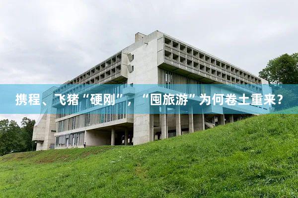 携程、飞猪“硬刚”，“囤旅游”为何卷土重来？