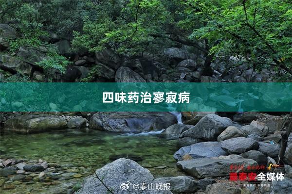 四味药治寥寂病