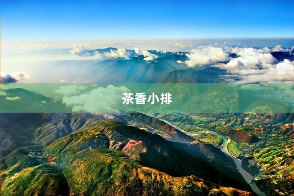 茶香小排
