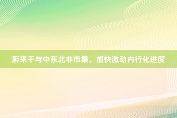蔚来干与中东北非市集，加快激动内行化进度