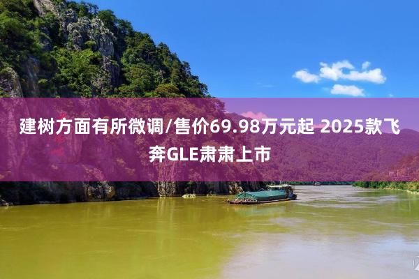 建树方面有所微调/售价69.98万元起 2025款飞奔GLE肃肃上市