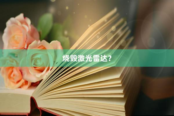 烧毁激光雷达？