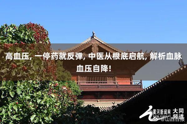 高血压, 一停药就反弹, 中医从根底启航, 解析血脉血压自降!